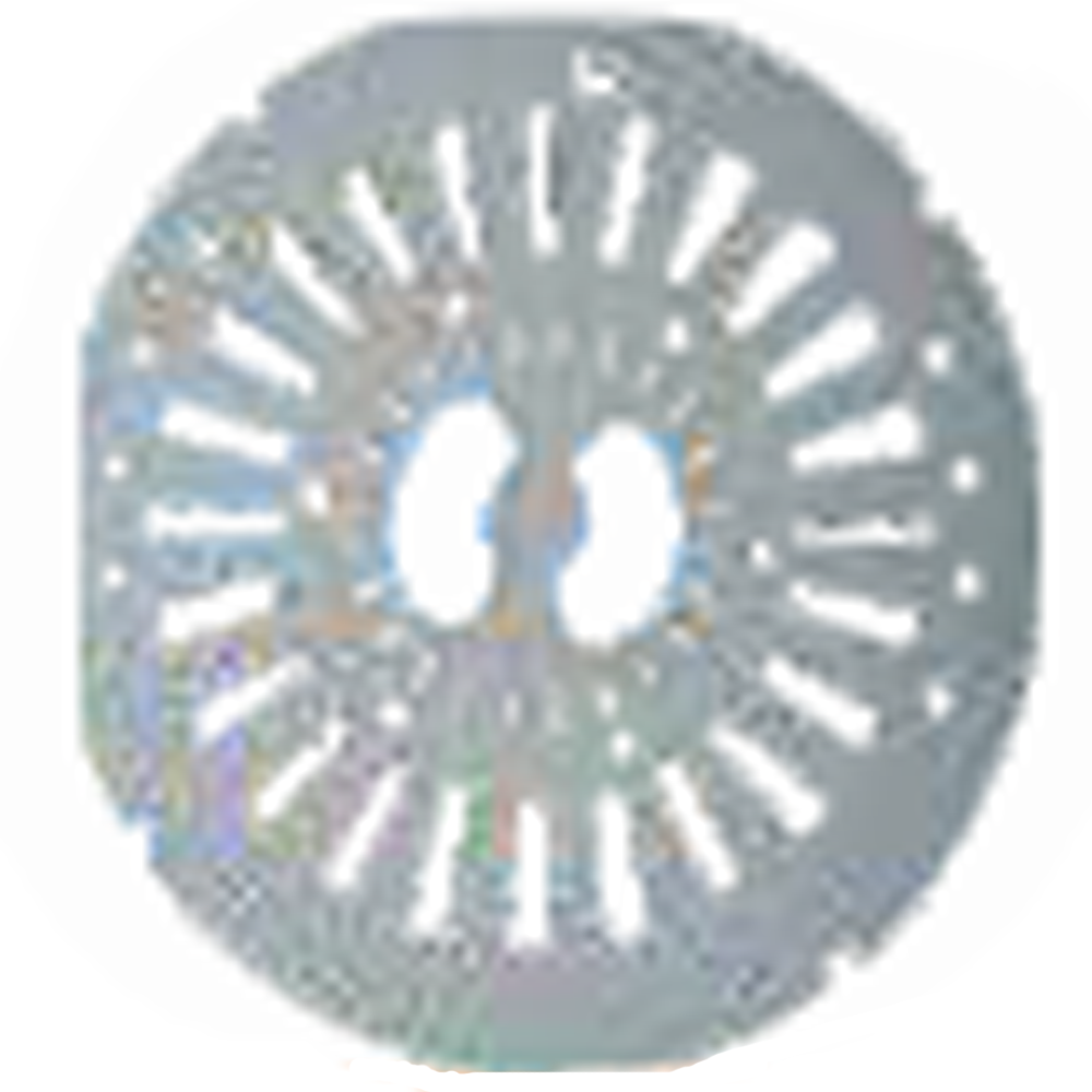 SS 7Kg Spin Cap